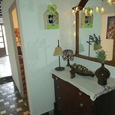 Can Cactus 가리구엘라 외부 사진