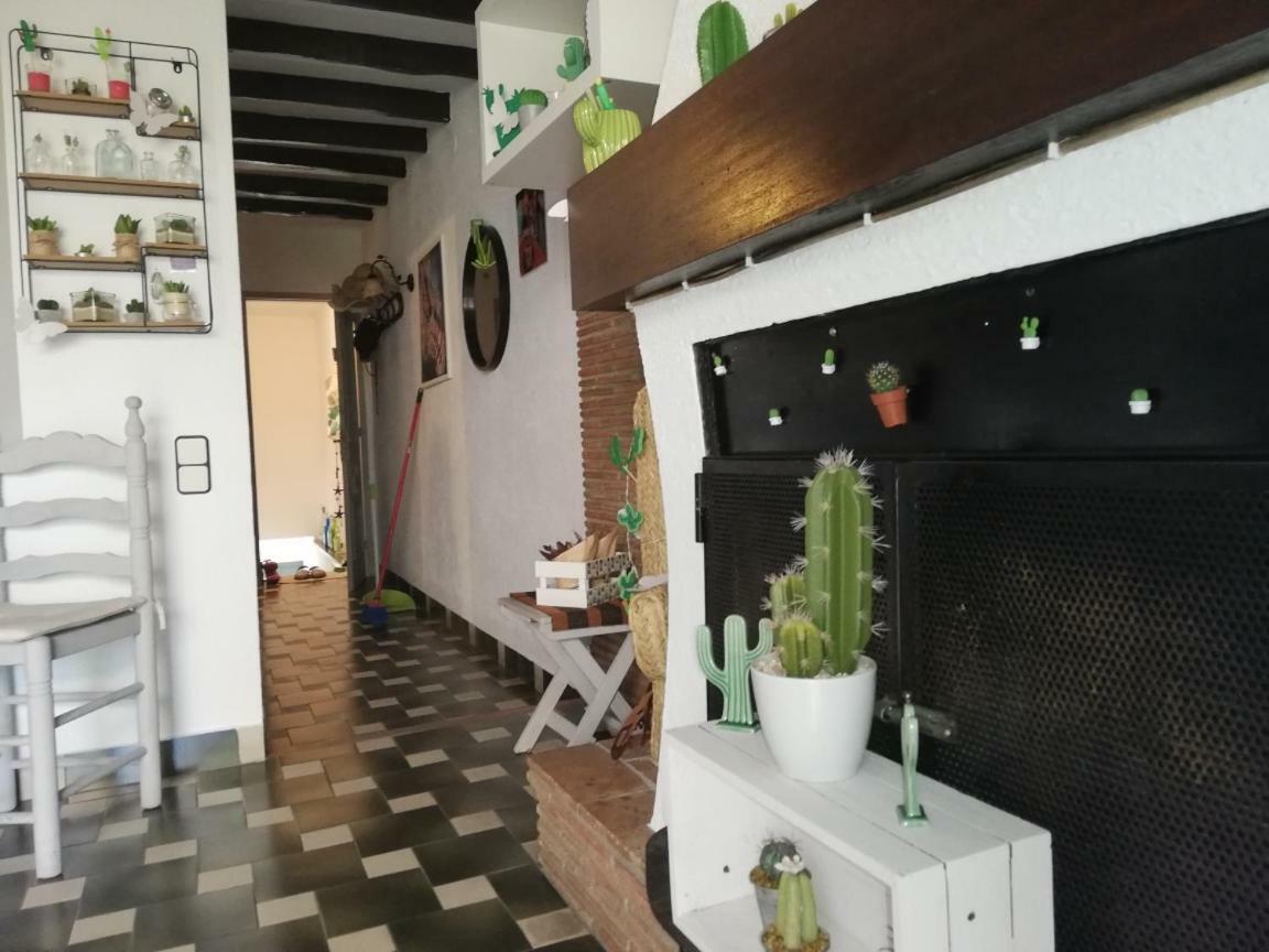 Can Cactus 가리구엘라 외부 사진