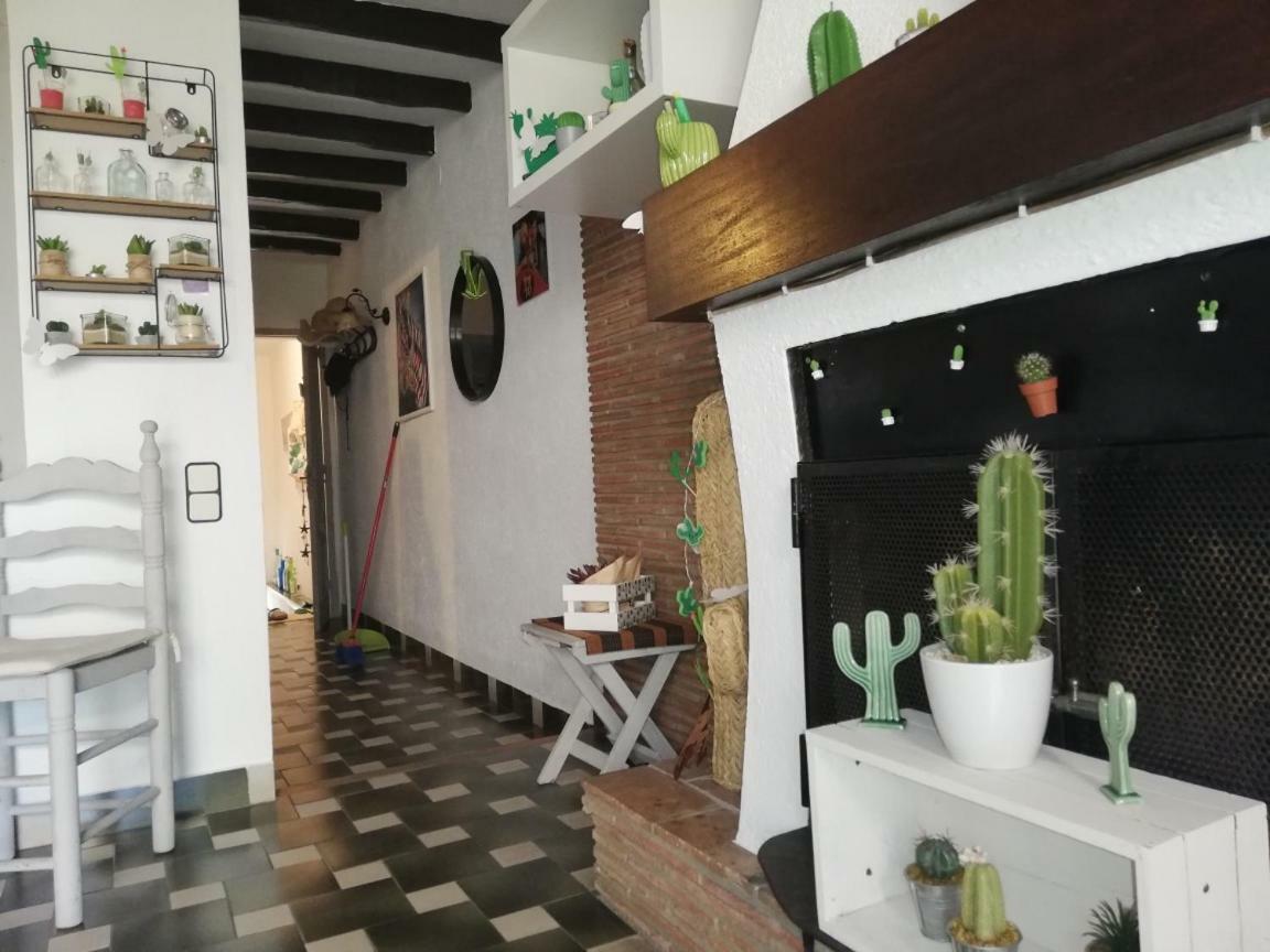 Can Cactus 가리구엘라 외부 사진