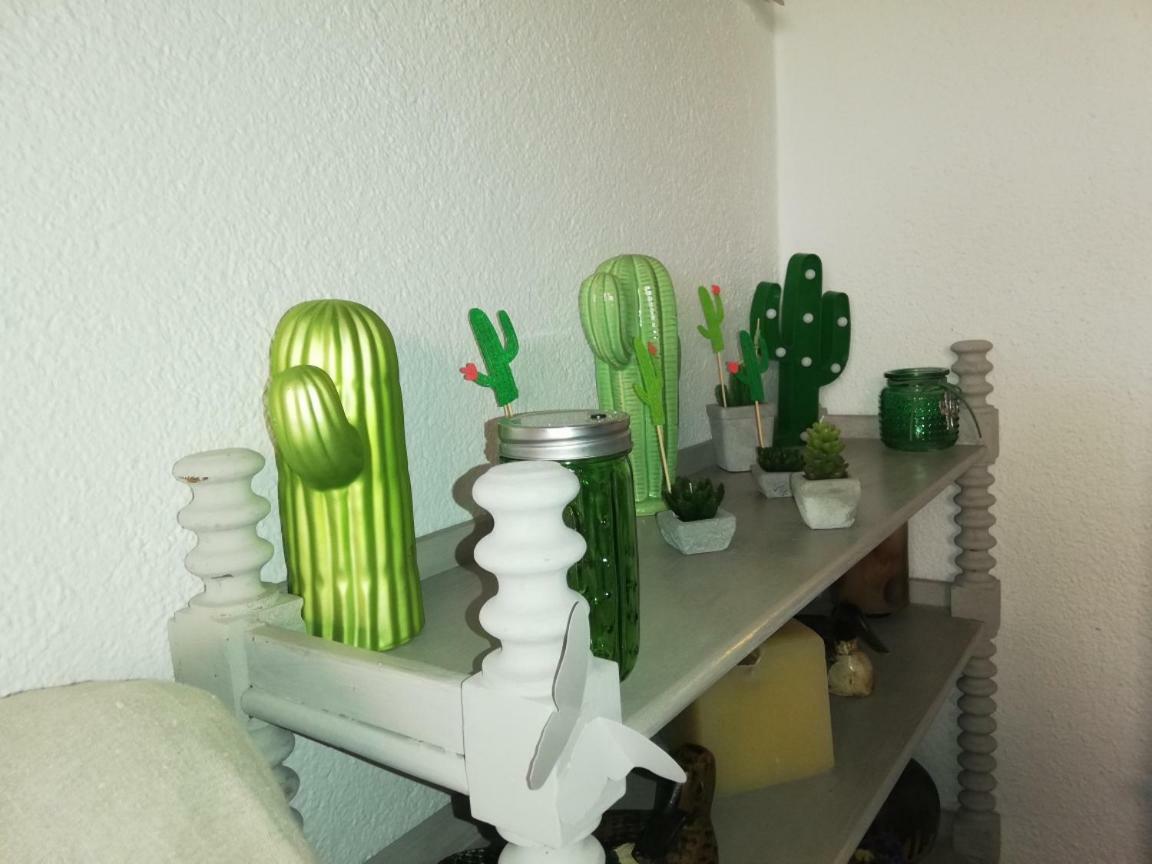 Can Cactus 가리구엘라 외부 사진